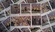 Panini BVB Dortmund echte