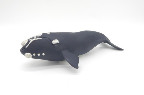 Safari ltd right whale - ltd.,