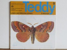 Teddy - Lesen und spielend