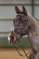 John Whitaker Valencia