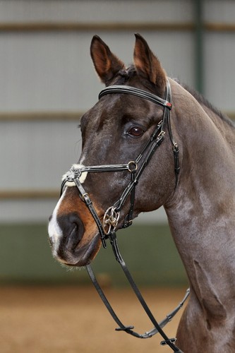 John whitaker valencia - whitaker,