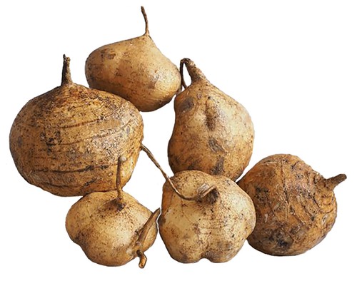 Pueraria mirifica kapseln - mirifica,