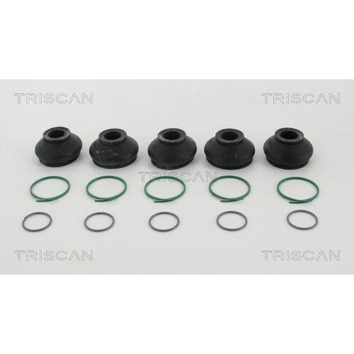 Triscan 8501 3817