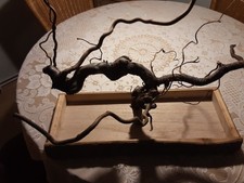 ###Vogelspielplatz, Vogelfreisitz Wellensittich Korkenzieherhasel###