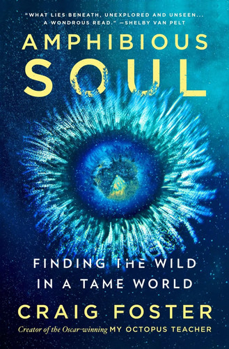 Amphibious soul finding the - |,