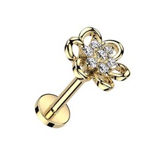 Helix Ohr Tragus Labret Conch