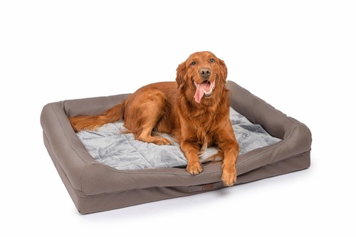 Orthopädisches hundebett - orthopädisches,