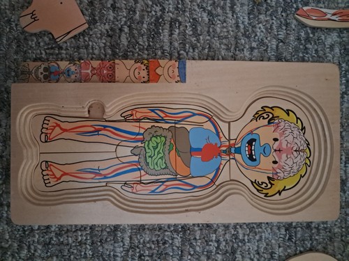 Beleduc lagen puzzle dein - beleduc, lagen-puzzle