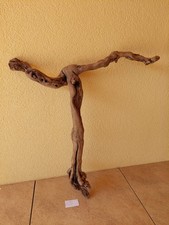 Treibholz Driftwood