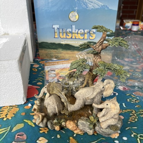 Tuskers elephants splashin - tuskers, "splashin'