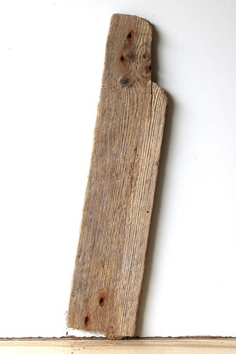 Treibholz schwemmholz - treibholz,
