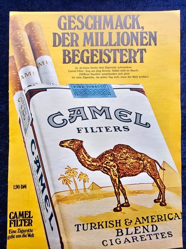 Camel filter zigaretten - ,