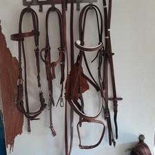 Trense gebisslos, Reittrense