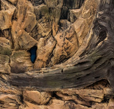 3D Aquarium Rückwand –