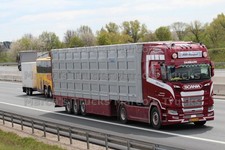 LKW Foto Scania S 500