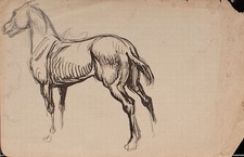 Wilhelm Wohlgemuth Pferd Tierstudie Umkreis Hans von Marées Zeichnung 20 Jhd