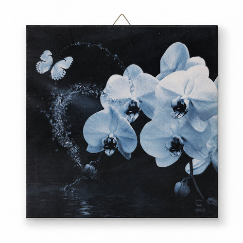 Motivfliese orchidee - motivfliese,