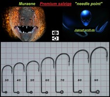  MURAENE PREMIUM SALZIGE Jig