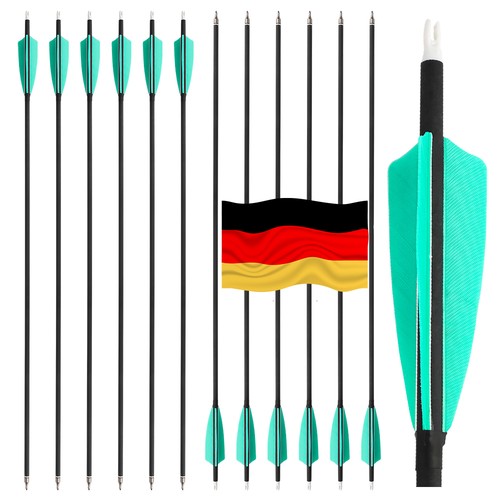 12x carbonpfeile sp500 - 12x,