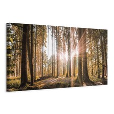 Artgeist Natur Wandbild Groß