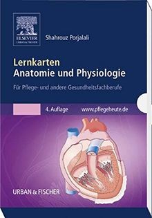 Lernkarten anatomie und - lernkarten,