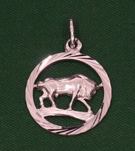 Sternzeichen anhänger - sternzeichen, (stier)