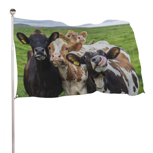 Dekorative gartenflagge - dekorative,