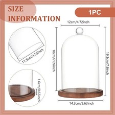 Glaskuppel Cloche Holzsockel