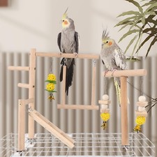 Papageien-Vogel-Spielplatz