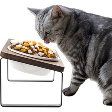 Katzenfutterstation Erhöht