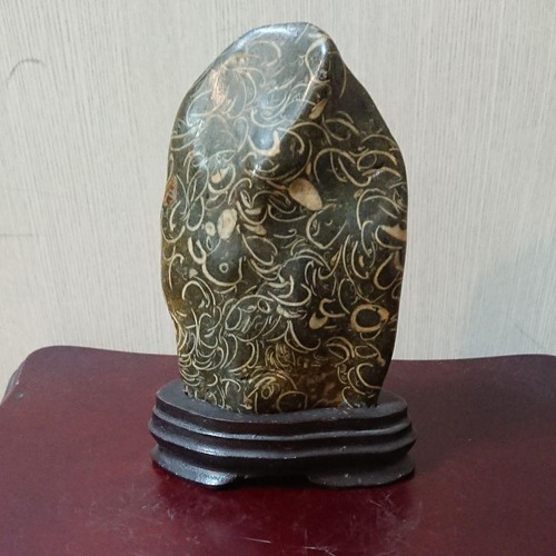 Suiseki bonseki bonsai - suiseki,