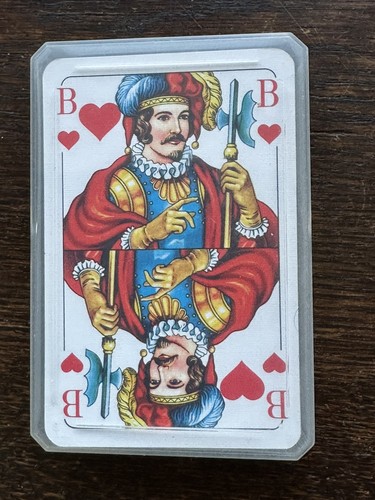 Skat kartenspiel - skat,