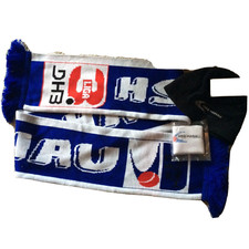 Handball Fan-Paket HSG Hanau DHB 3. Liga Schal, Mütze Schweißband