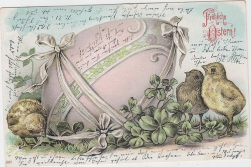122 ostern 1905 küken - 122,