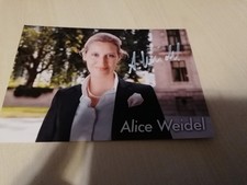 Alice weidel afd - alice,
