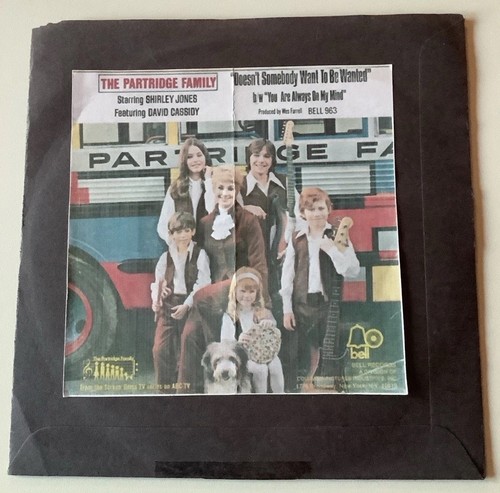 The partridge family david - the, family/