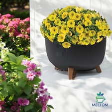 Pflanzschale Groß Rund