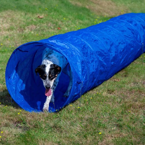 Agility hunde tunnel - agility, hunde-tunnel