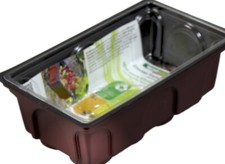 Windhager Zimmertreibhaus 19x11x11cm (inkl. 8 Tabs)