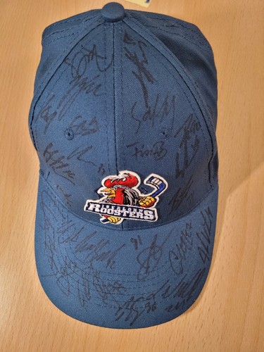 Iec iserlohn roosters - iserlohn,