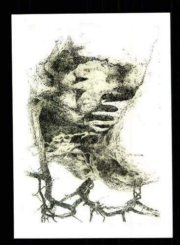 Walter herzog autogrammkarte - herzog,