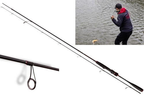 Quantum magic trout cito - quantum,