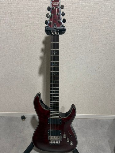 Schecter hellraiser - schecter,