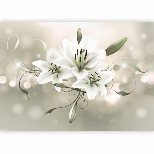 Blumen lilien fototapete - lilien,