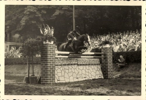 Foto reitturnier - foto,