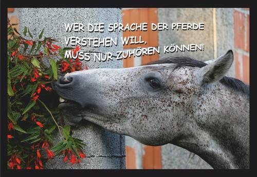 Fußmatte schmutzfangmatte - fußmatte,
