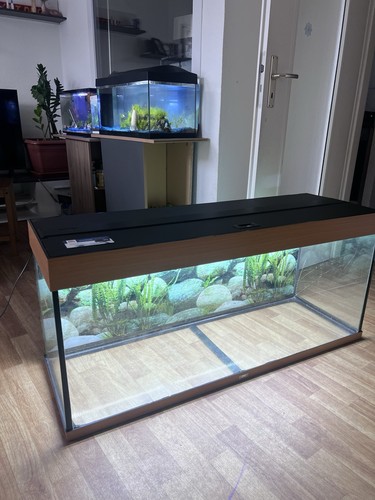 Juwel aquarium 240 - juwel,