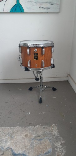Modifizierte sonor x 10 - modifizierte,
