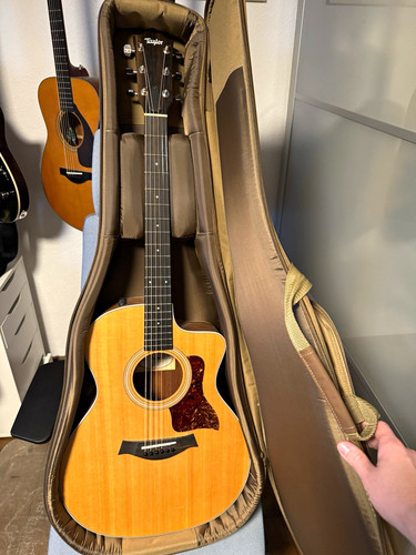 Taylor akustikgitarre saitig - taylor,