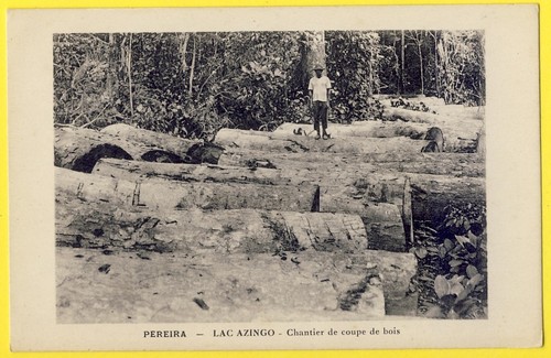 Cpa afrika gabun pereira see - gabun,